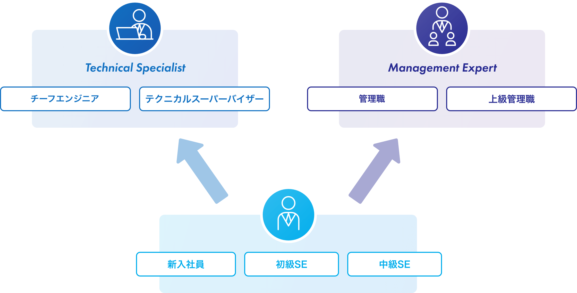 Technical Specialist チーフエンジニア テクニカルスーパーバイザー Management Expert 管理職 上級管理職 新入社員 初級SE 中級SE